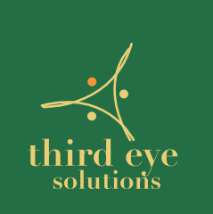Logo third eye solutions